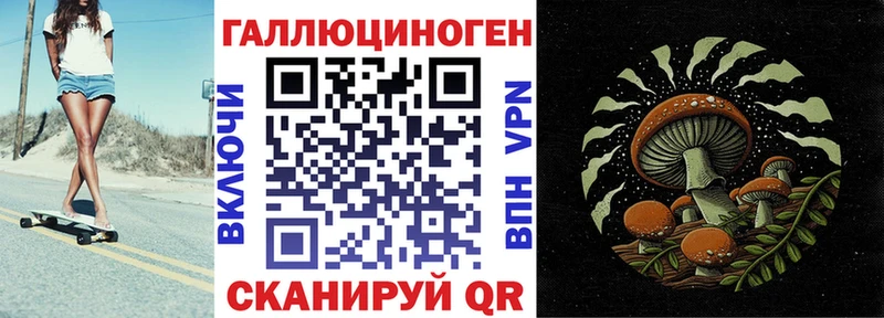 Псилоцибиновые грибы GOLDEN TEACHER Купить где Суровикино