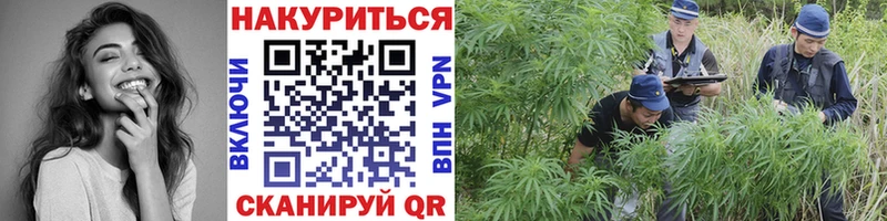 Купить где  Суровикино  Бошки Шишки THC 21% 